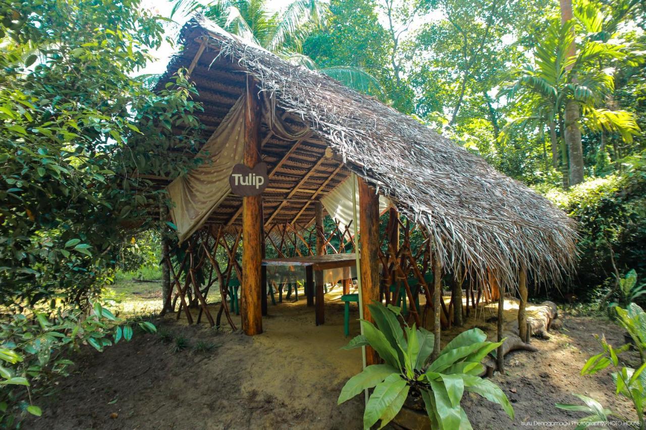 Jungle Paradise Галле Экстерьер фото